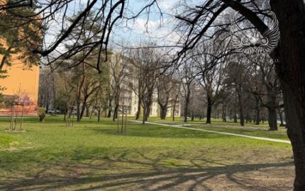 TOP!!! PRIESTRANNÝ 2I BYT S LOGGIOU V RUŽINOVE