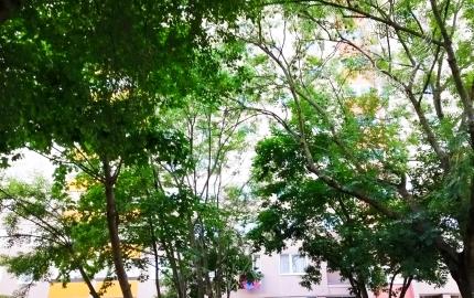 KOMPLET ZARIADENÝ 3I BYT S 2 BALKÓNMI - PET FRIENDLY