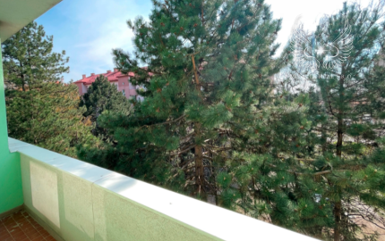 Väčší 1izbový byt na prenájom, v Rači s povolením domácich zvierat