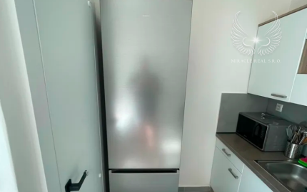 Väčší 1izbový byt na prenájom, v Rači s povolením domácich zvierat