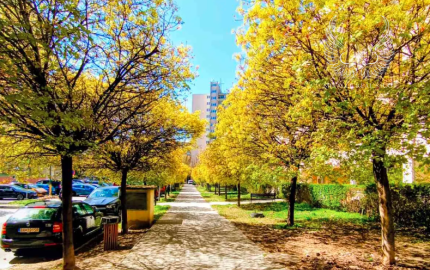 Príjemný 2izbový byt na prenájom v Dúbravke