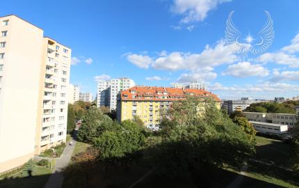 PRIESTRANNÝ 2I BYT (65 m²) S BALKÓNOM A VÝHĽADOM DO PARKU NA ZAČIATKU PETRŽALKY