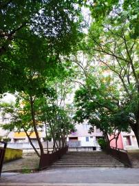 KOMPLET ZARIADENÝ 3I BYT S 2 BALKÓNMI - PET FRIENDLY