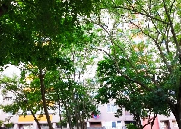 KOMPLET ZARIADENÝ 3I BYT S 2 BALKÓNMI - PET FRIENDLY