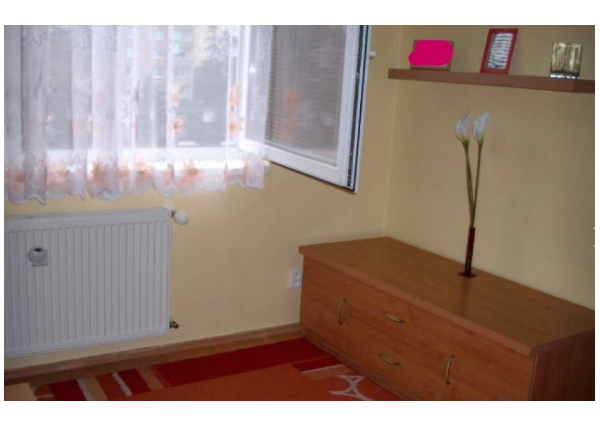 Útulný jednoizbový byt blízko Planét - Ružinov