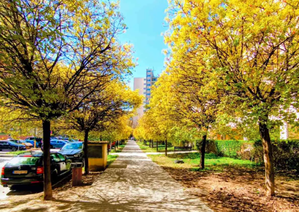 Príjemný 2izbový byt na prenájom v Dúbravke