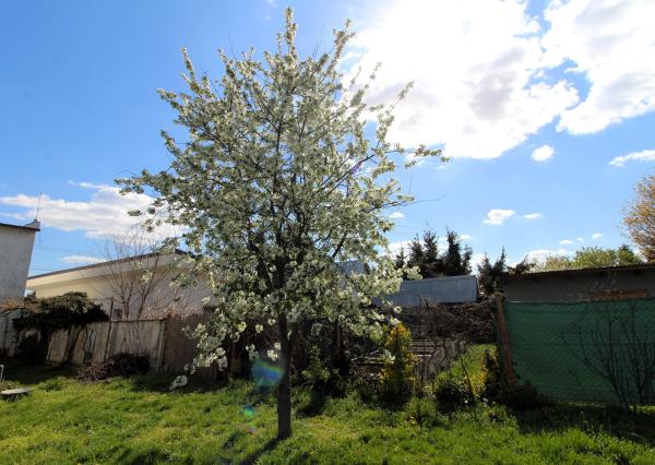 TOP!!! PREDAJ 2PODLAŽNÉHO ROD. DOMU SO ZÁHRADOU V IVANKE PRI DUNAJI